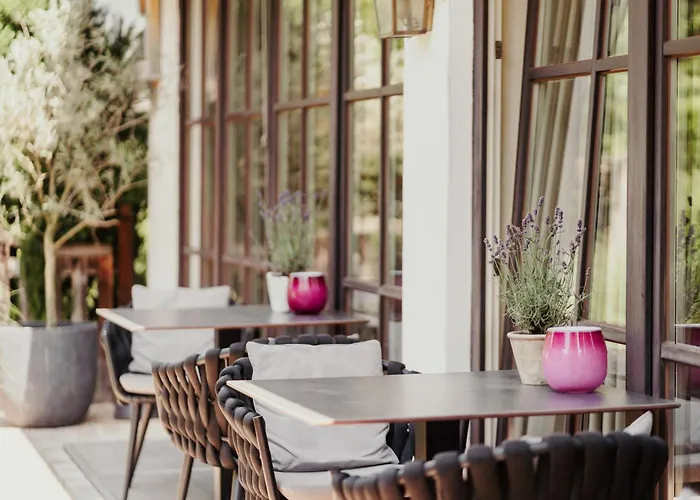 Staudacherhof In I Blick Aufs Zugspitzmassiv I Einzigartige Bayurvida Kueche Hotel 4*